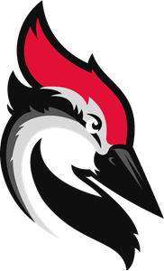 Logo Woodpecker w Software House Cogitech